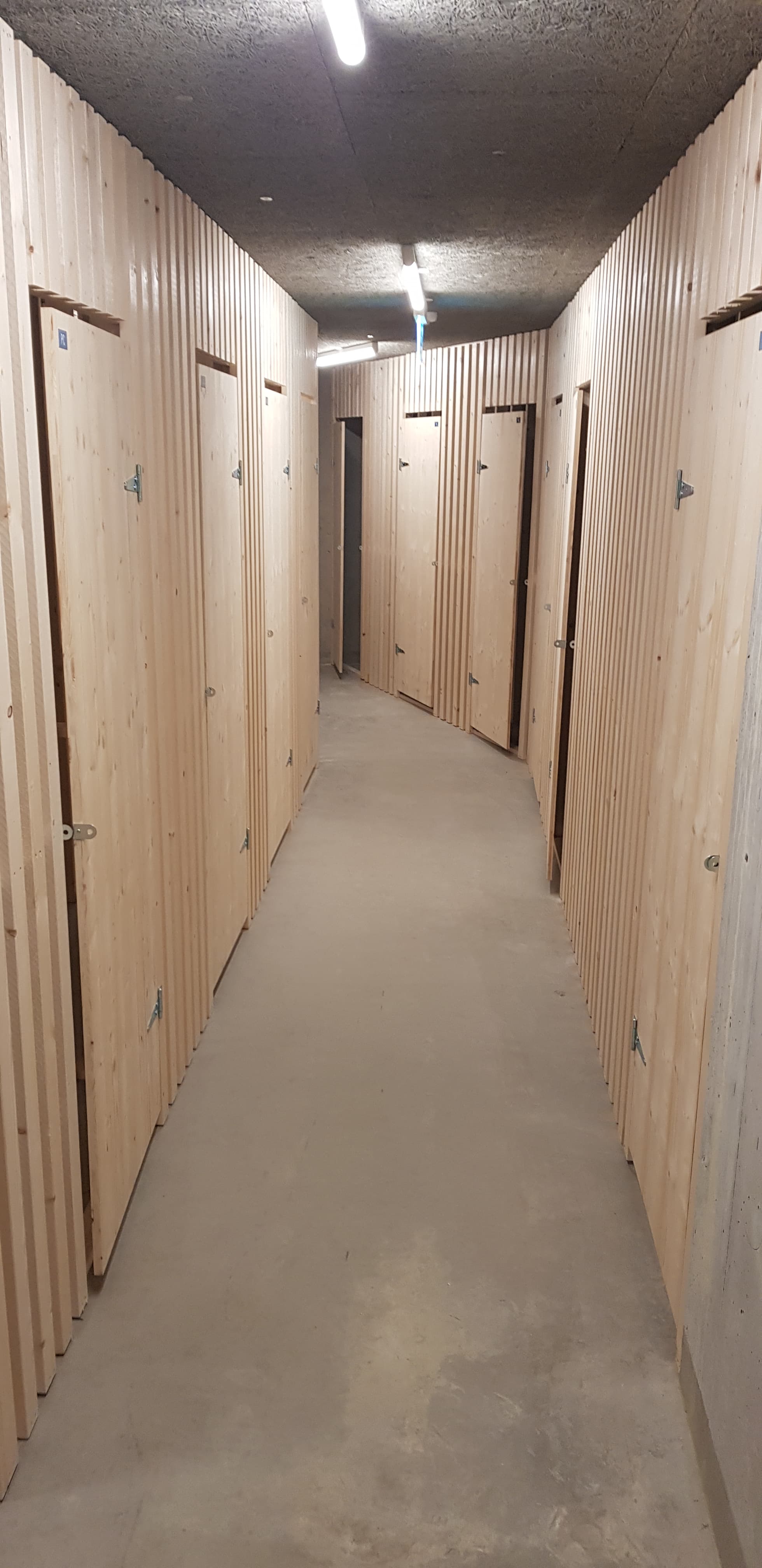 Réalisation cave, vue chantier